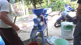 Rice being milled on a small farm in North East Thailand, using a small electric milling machine.