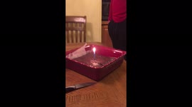 Dog wants to help sing the happy birthday song for his daddy!