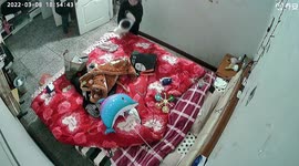 Chinese mother's quick reflexes save baby from falling off bed