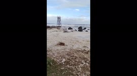 Australia: Sea Foam Covers Redhead And Newcastle Beaches In NSW 2