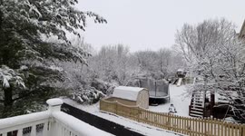 Bombogenesis: Freak March snowstorm turns Frederick, Maryland, into a winter wonderland