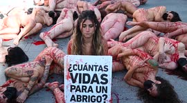 Animal rights activists in Madrid protest naked covered with fake blood, against the fur trade
