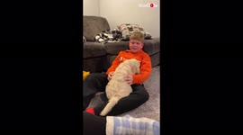 Boy who lost his dog is surprised with new one and bursts into tears