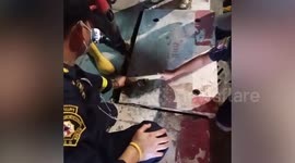 Local rescuers drill through manhole cover to save stuck kitten