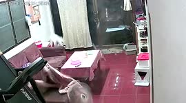 Pet cat looks like she's flying when broken wall fan startles her