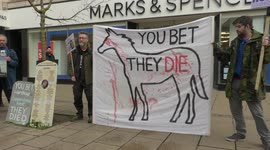 Irishman defends visiting Cheltenham Festival as animal rights protesters picket Races
