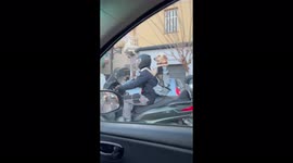 Canine chilling: Dog rides pillion on the back of a motorbike in Corsica
