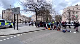 Pro Ukraine Protesters Dancing at Oleg Deripaska 50 Million Occupied Property