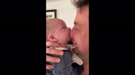 Misguided UK baby tries in vain to suck milk from Daddy's nose