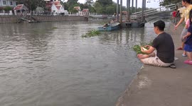 A thai family feeding catfish for good luck in the next life, at a temple at Bang Pa Inn, Ayutthaya, Thailand.