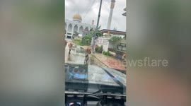 Cow with five legs seen walking towards mosque in Thailand