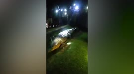 Delighted locals catch killer crocodile that ate their neighbour in Indonesia