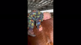 11months old baby fell asleep while riding a horse