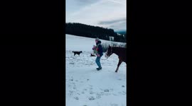 Little 3years old fall asleep on a horse while trailriding