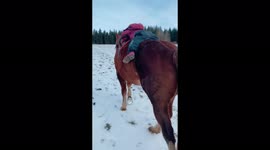 3years old girl adorably falls asleep on her horse while riding