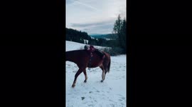 Parents film as toddler falls asleep despite riding on horse's back