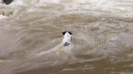 River turns into muddy rapids after heavy rain in Thailand