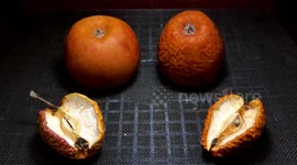YouTuber records crisp 80-hour timelapse of dehydrating apples