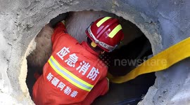 Firefighters rescue camel trapped in well in China