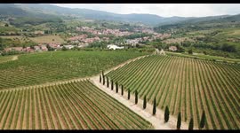 Flight over Italian Vineyards countryside