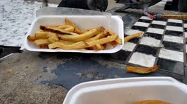 Flock of pigeons at Toronto city hall attack and steal French fries from a person trying to have a burger and fries at a picnic table outside, all fries gone in 60 seconds but the burger was saved, these bird are not afraid of people