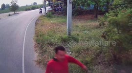 Bungling driver chases runaway truck after forgetting to set its handbrake