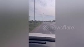 Kind driver stops to help two turtles cross road in Thailand