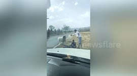Chinese police officer uses pepper spray to ward off sheep attacking elderly man