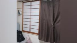 Terrifying magnitude 7.4 earthquake shakes homes in northeastern Japan