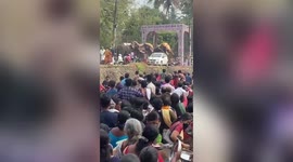 Rampaging elephants wreak havoc during procession in southern India