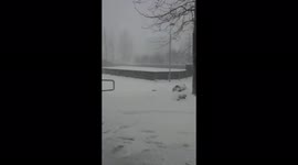 Watch as blizzard rips through Reykjavik as spring is kept on hold across Iceland