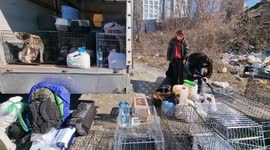 Couple in war-torn Kyiv work alongside volunteers to send stray animals to homes across Europe