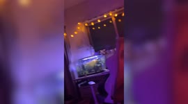 Scary moment student's fish tank overflows during deadly 7.4 magnitude quake in Japan