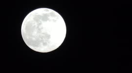 Close Up Of Worm Moon