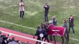Tiger Roll at Cheltenham Festival After His Final Race