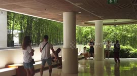 Russian and Ukrainian tourists stranded on Thai island receive help