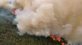 Hundreds of firefighters extinguish huge forest fire in southwestern China