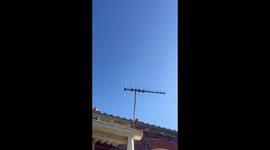 Sydney police search for suspect over Cammeray NSW, confirm over speaker they’ve found the suspect