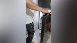 Puppy naps inside fridge to escape intense heat as temperatures soar to 32C in the Philippines