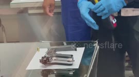 Security guard, 32, taken on crime reconstruction after 'shooting dead' student, 19, in Thailand