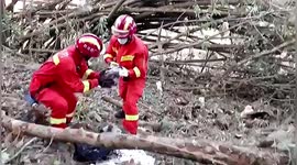 Firefighters search in forest mountain after passenger plane crashes in southern China