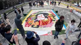 Visitors flock to see stunning carpets of carnations in Japanese capital