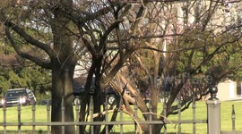 Madam Vice President of the United States Kamala Harris departs United States Naval Observatory via Marine Two in Washington, D.C. on March 21, 2022 en-route Joint Base Andrews for a trip to Sunrise, Louisiana amidst SGOTUS testing positive for COVID-19