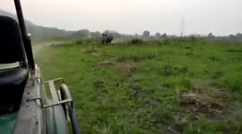 Terrifying moment rhino charges towards vehicle in north-eastern India