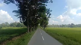 Best looking natural beauty with bike riding | A road with side seeing