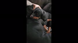 Sometimes you just need a good hug and snuggle with your mom