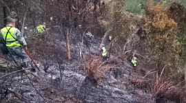 Militia group joins search for crashed plane's black box in Guangxi, China