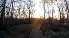 sunny walk little of me