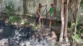Wild boar rescued after getting stuck in muddy pit for three days