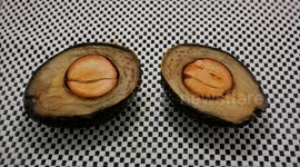 Oddly satisfying timelapse shows dehydration of an avocado